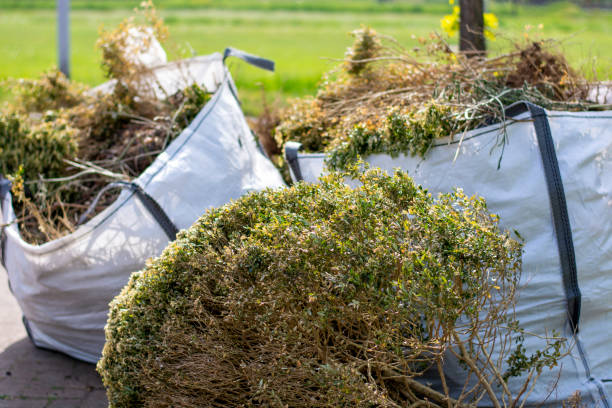 Best Office Junk Removal  in Coyne Center, IL